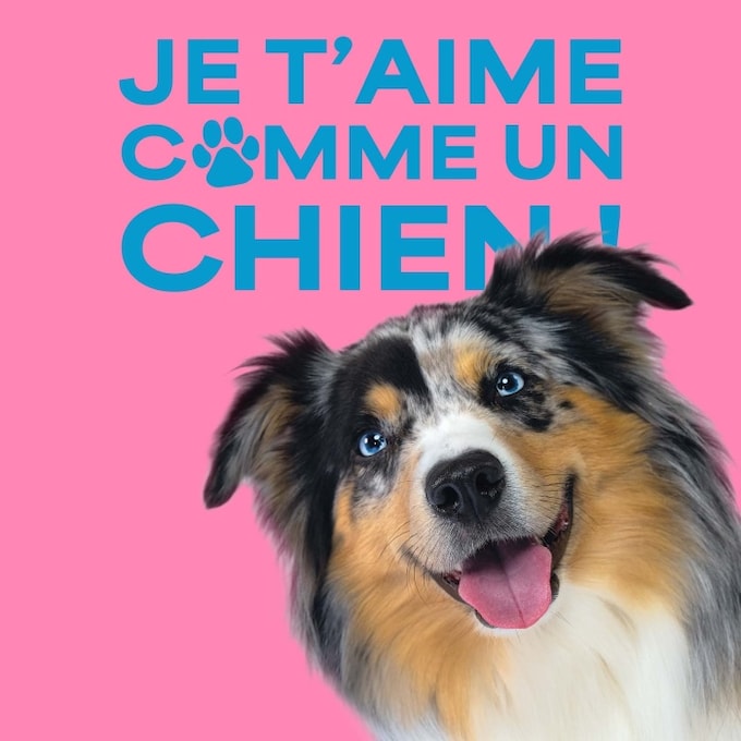 Je t'aime comme un chien !