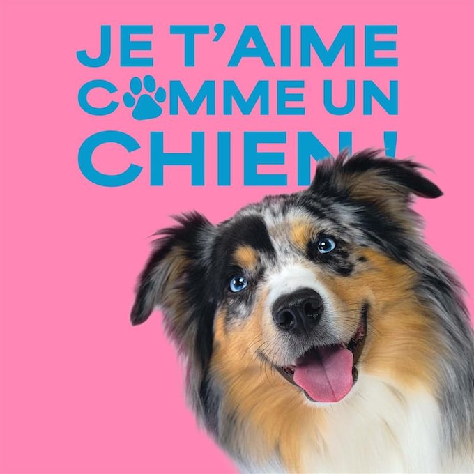 Je t'aime comme un chien ! 